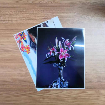 24&quot; petit pain de papier de photo de X30m RC